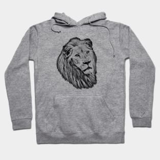 Lion portrait Hoodie